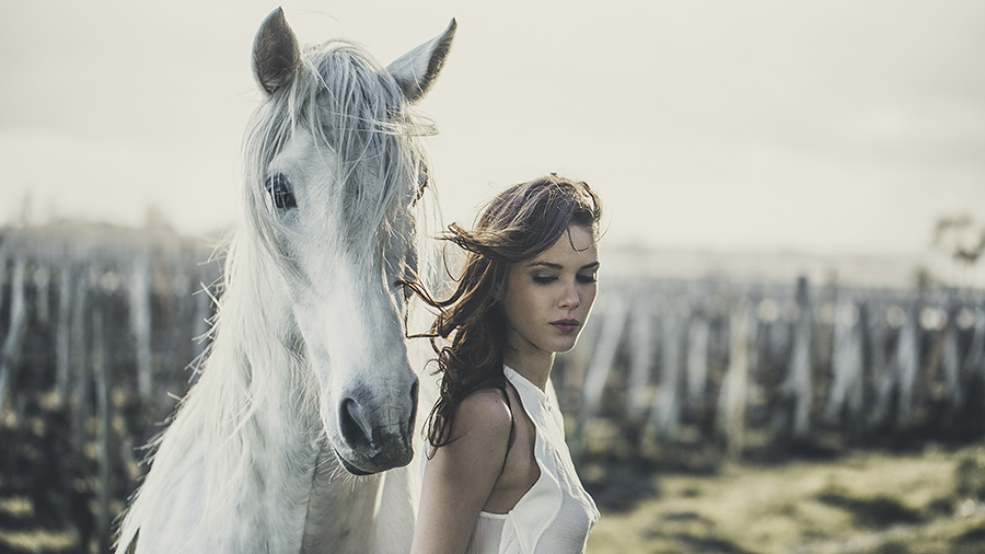 Fullwidth Page with Parallax Photo